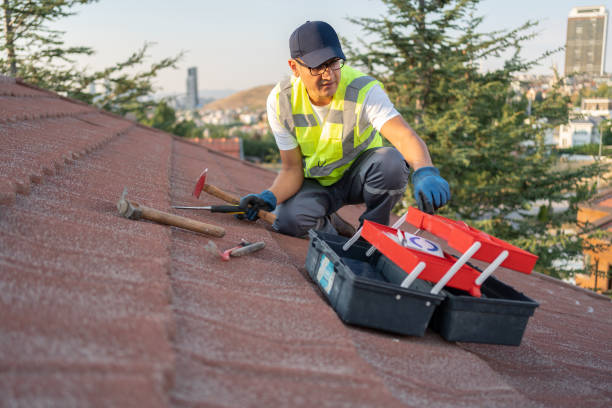 Best Steel Siding Installation  in Farrell, PA